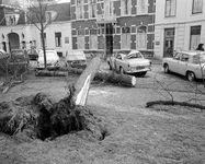 855365 Afbeelding van een omgewaaide boom op de Maliebaan ter hoogte van Maliebaan 77 (rechts) te Utrecht, na een ...